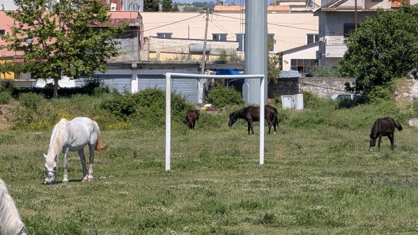 Stadiumi Besa - Kavajë