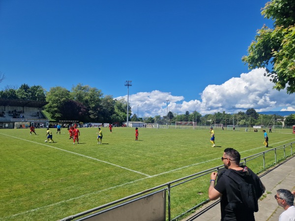 Stade du Censuy - Renens VD