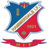 Wappen Hammerdals IF