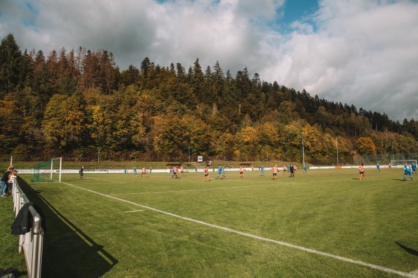 Flößer-Stadion - Wallenfels