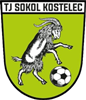 Wappen TJ Sokol Kostelec-Zlín