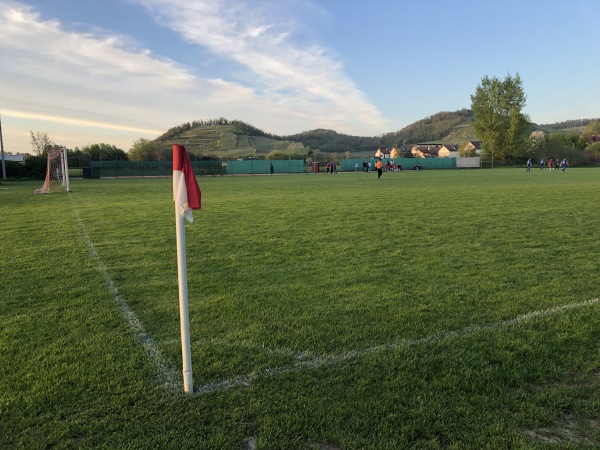 Schloßberg-Stadion Nebenplatz - Vogtsburg/Kaiserstuhl-Achkarren
