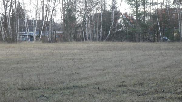 Waldsportplatz - Neupetershain-Nord