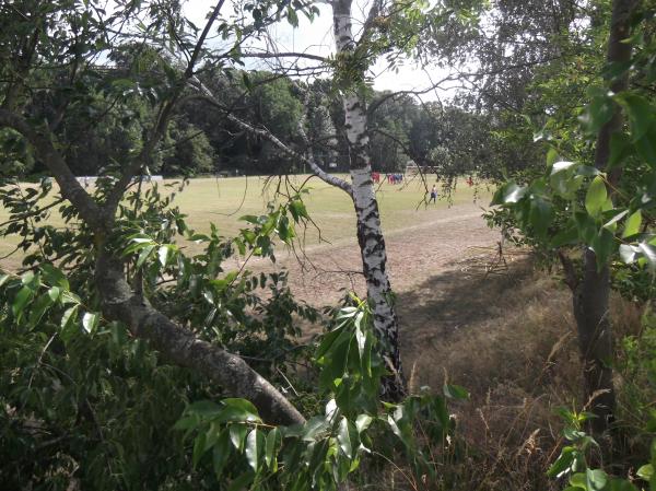 Sportplatz Jesewitz - Jesewitz