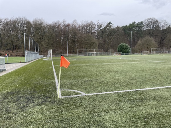 Sportpark De Pinkenberg veld 4-DVOV / Veluwezoom - Rozendaal