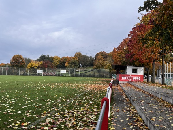 Rosskopf Arena im Dietenbach-Sportpark - Freiburg/Breisgau