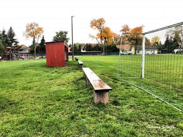 Sportplatz an der L206 - Fünfseen-Rogeez