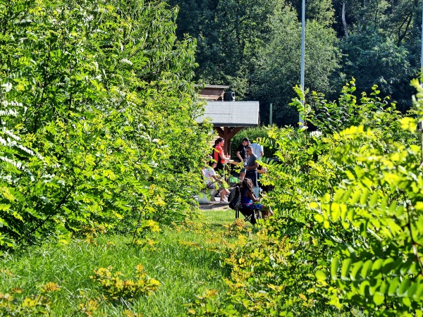 Waldstadion am Sensenfeld Nebenplatz - Bottrop-Kirchhellen-Grafenwald