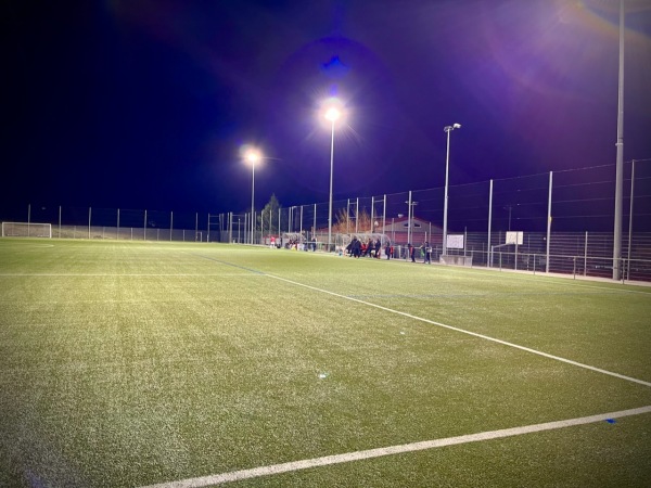 Centre Sportif du Châtaignier terrain synthétique - Mont-sur-Lausanne