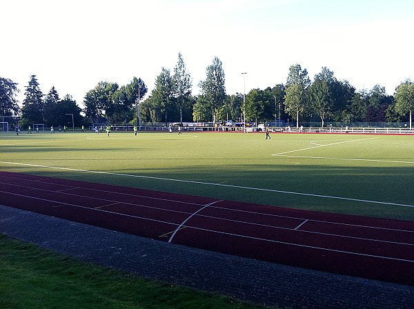 Fritz-Bortz-Sportplatz - Aumühle