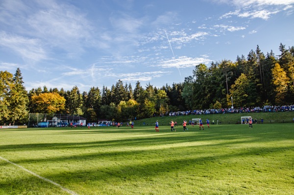 Sportanlage Am Pilzanger - Simmelsdorf-Hüttenbach