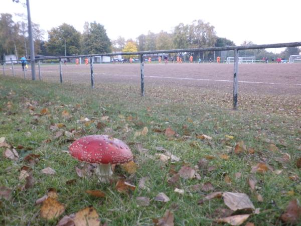 Sportplatz Lichtenauer Weg - Hamburg-Eißendorf