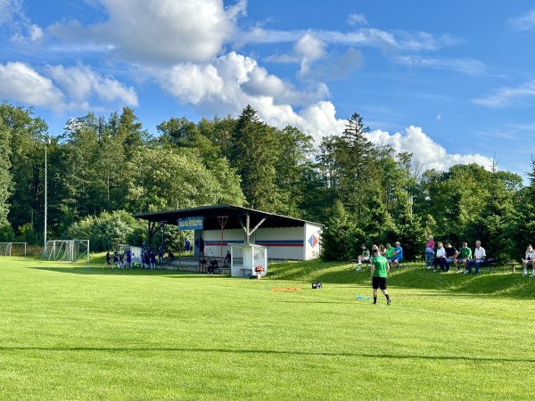 Sportplatz an der Sachsenruh - Bad Steben