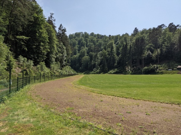 Sportplatz Erdbeertal - Weidenthal