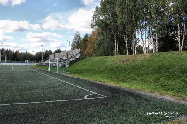 Susivouti 2 tekonurmi - Rovaniemi
