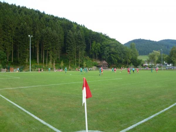 Sportanlage Waldseeweg Platz 2 - Hofstetten/Baden