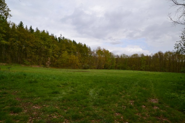 Sportplatz Ivenrode - Altenhausen-Ivenrode