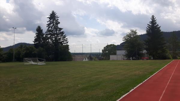 Sportplatz Schlafapfelbaum - Eglisau