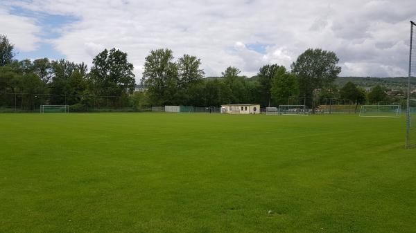 Ernst-Abbe-Sportfeld Platz 8 - Jena