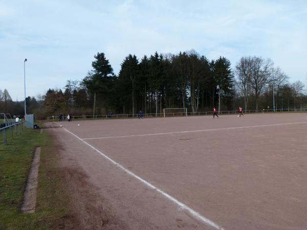 Sportanlage auf der Lahninsel Platz 2 - Wetzlar-Naunheim