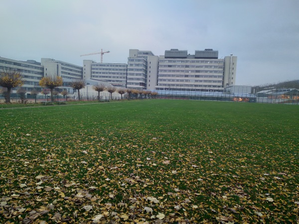 Sportanlage der Universität - Platz Dynamik - Bielefeld-Wellensiek