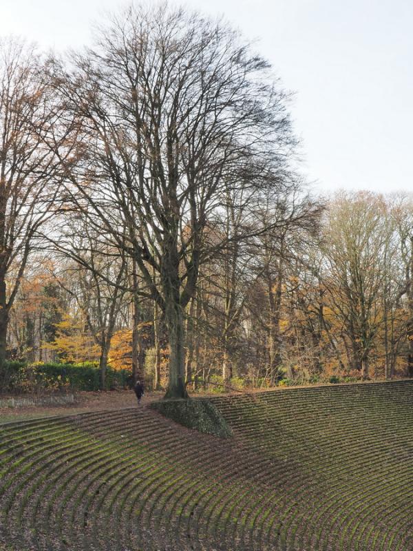 Drie Linden Stadion - Stade des Trois Tilleuls - Watermael-Boitsfort