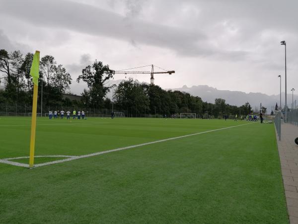 Sportanlage Rheinwiese Platz 4 - Schaan