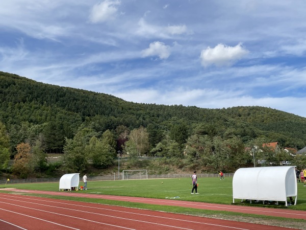 Stade Paul Weber - Niederbronn-les-Bains