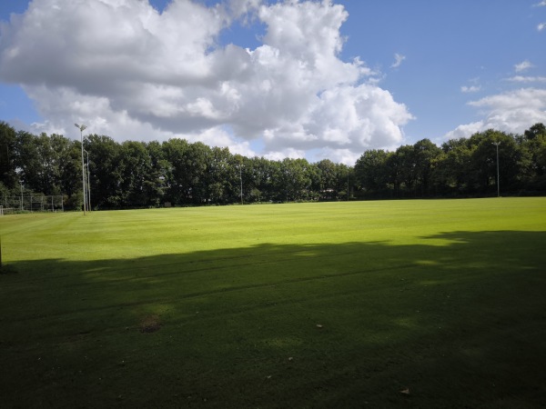 Sportpark De Wijchert veld 5 - Wijchen