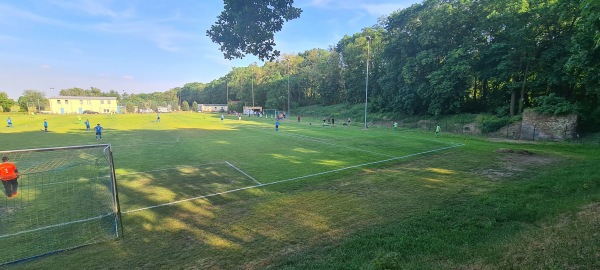 Hartenfelsstadion Nebenplatz 1 - Torgau