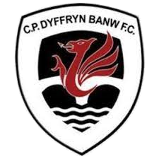 Wappen Dyffryn Banw FC