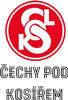 Wappen TJ Sokol Čechy pod Kosířem