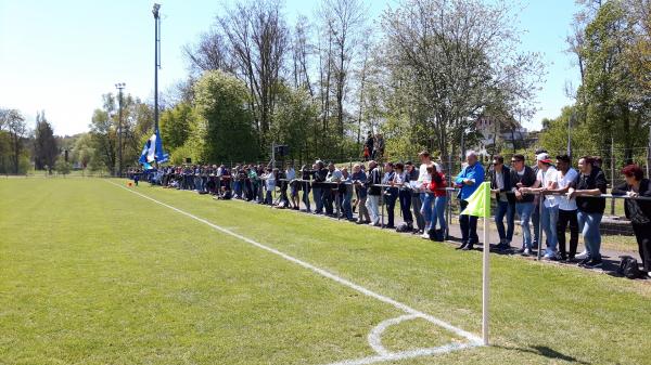 Alter Zustand (Naturrasen)