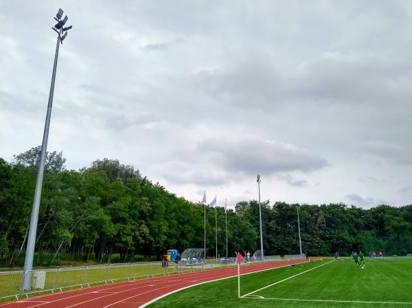 Boisko POSiR w Poznaniu - Poznań