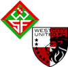 Wappen SGM Wernauer SF / Westcity United Esslingen FC