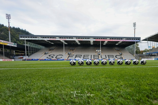 Dreisamstadion - Freiburg/Breisgau