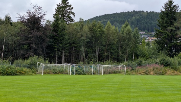 Lubbenes gress - Molde
