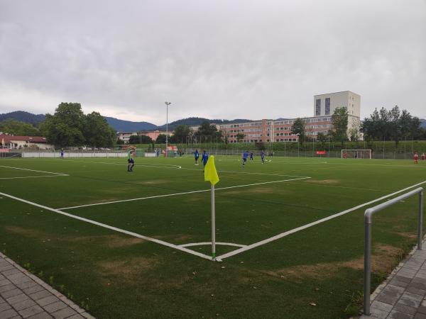 ESV-Sportzentrum Platz 2 - Freiburg/Breisgau-St. Georgen