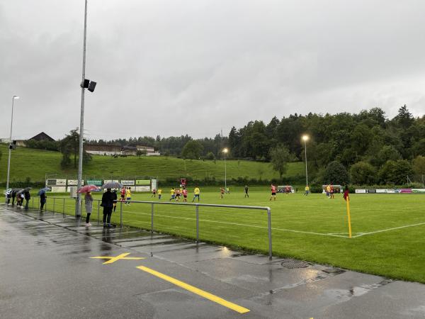 Sportplatz Riedmatt - Niederwil