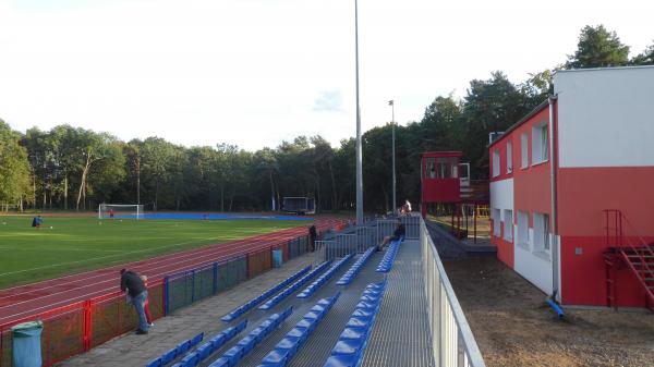 Stadion Miejski w Witnicy - Witnica