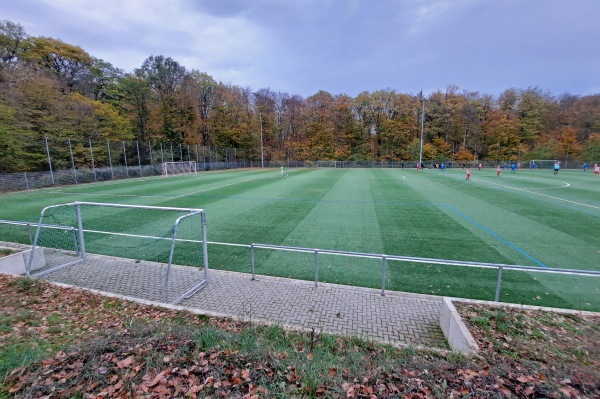Sportplatz Rauenthal - Eltville/Rhein-Rauenthal