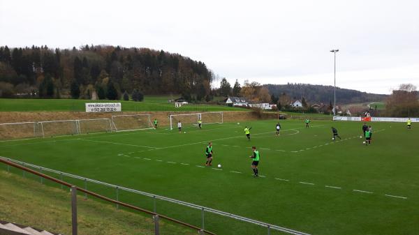 Sportplatz Mettlen - Weisslingen