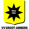 Wappen VV Groot-Ammers  55478