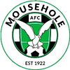 Wappen Mousehole AFC  7422