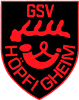 Wappen GSV Höpfigheim 1860 diverse  58276