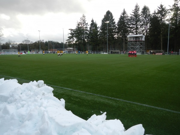 PSV Campus De Herdgang veld 7 - Eindhoven