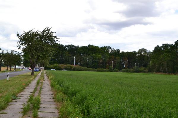 Stadion Am Köksbusch - Staßfurt-Rathmannsdorf