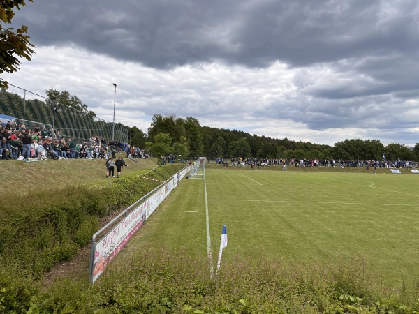Waldsportanlage - Schaufling