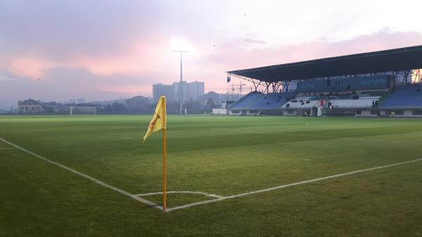 Armenia Football Academy grass - Yerevan