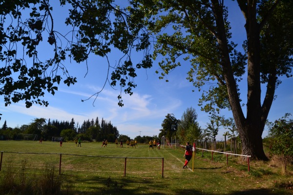 Sportplatz Drackenstedt - Eilsleben-Drackenstedt